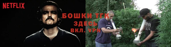 сатива Верхнеуральск
