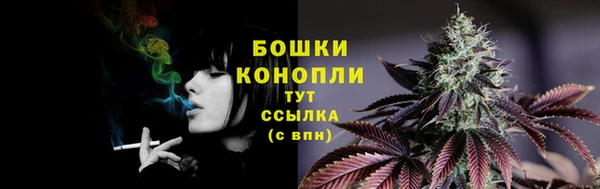 сатива Верхнеуральск